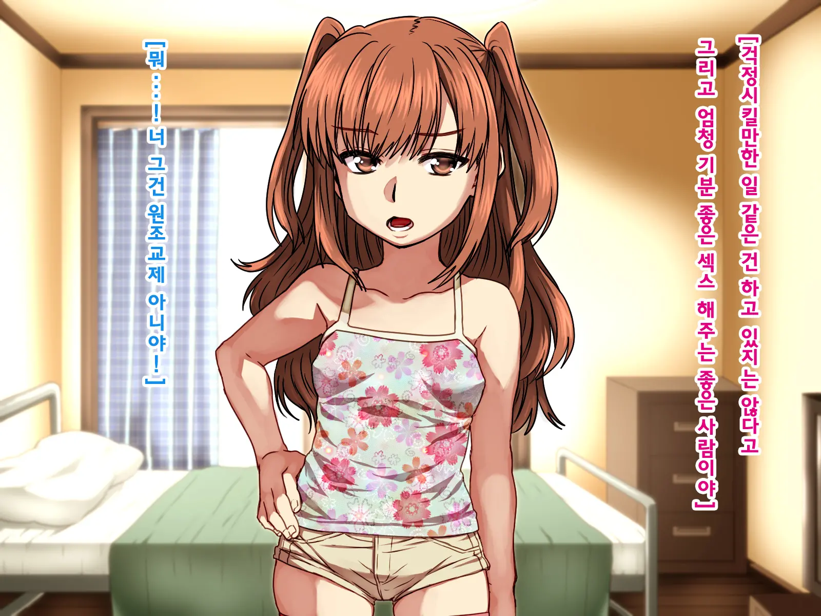 Seiteki Ni Baka Na Imouto O Mamoru Tame Ni